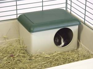 maison pour lapin tidra
