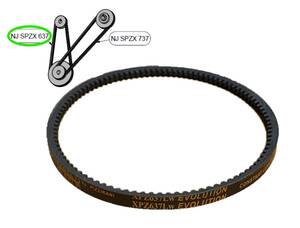 Courroie pour plumeuse Junior nouveau modèle
(petite courroie)
XPZ637Lw