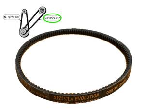 Courroie pour plumeuse Junior nouveau modèle
(grande courroie)
XPZ737Lw