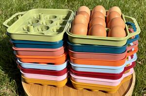 ALVEOLES ET BOITES CARTONS - boîte de 12 œufs réutilisable