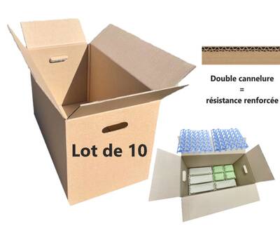 caisse carton 360 oeufs